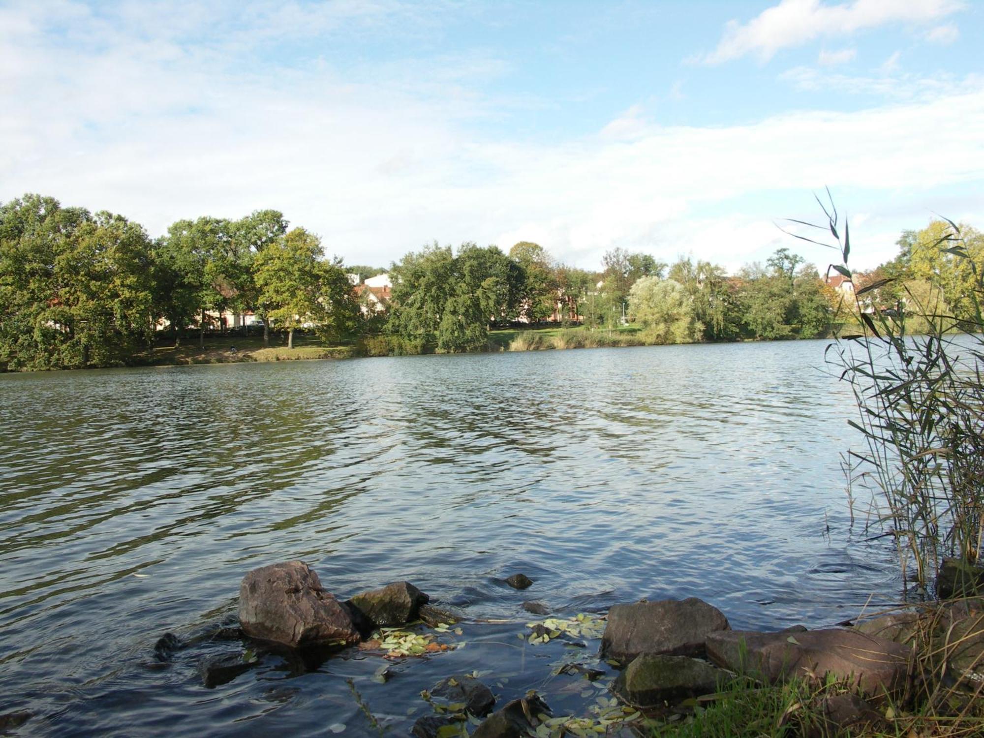 Creutzwald The Originals City, Hotel Et Restaurant Aster, Saint-Avold Nord מראה חיצוני תמונה
